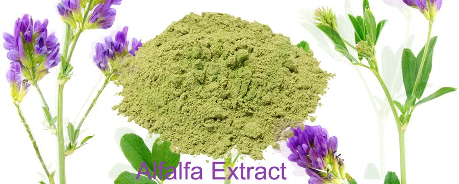 alfalfa-leaf-powder