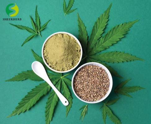 Hemp seed protein2