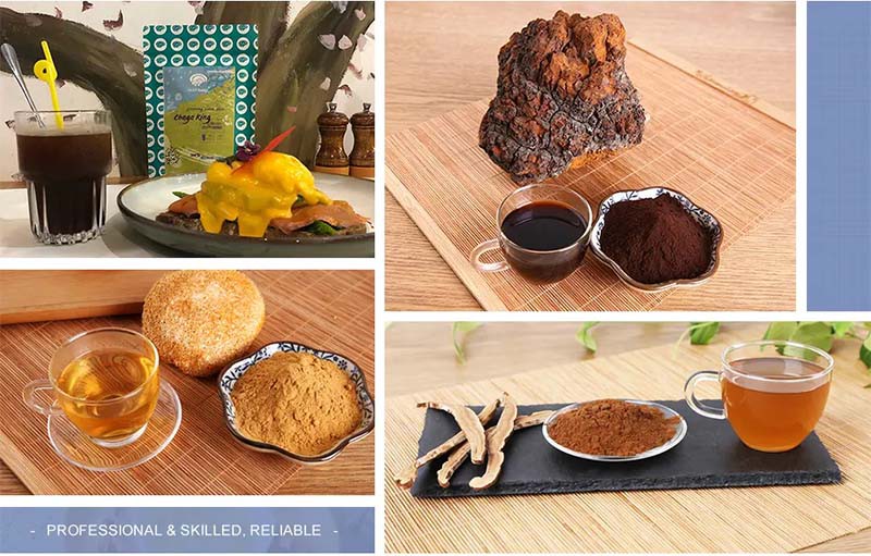 chaga mushroom-3 chaga mushroom-3