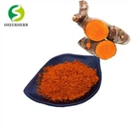 Detholiad Curcumin Powdwr
