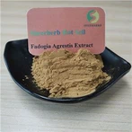 Capsiwl Detholiad Fadogia Agrestis