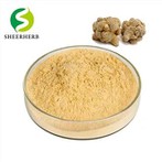 Powdwr Notoginsenoside