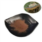 Detholiad Phellinus Lineus